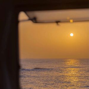 最新午夜国内自拍视频
